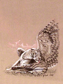 winged white tiger washing