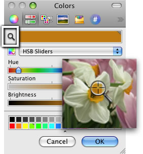The Magnifying Glass lets you pick any color on your screen