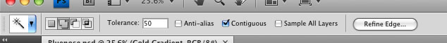 The Magic Wand Options bar from Photoshop CS4